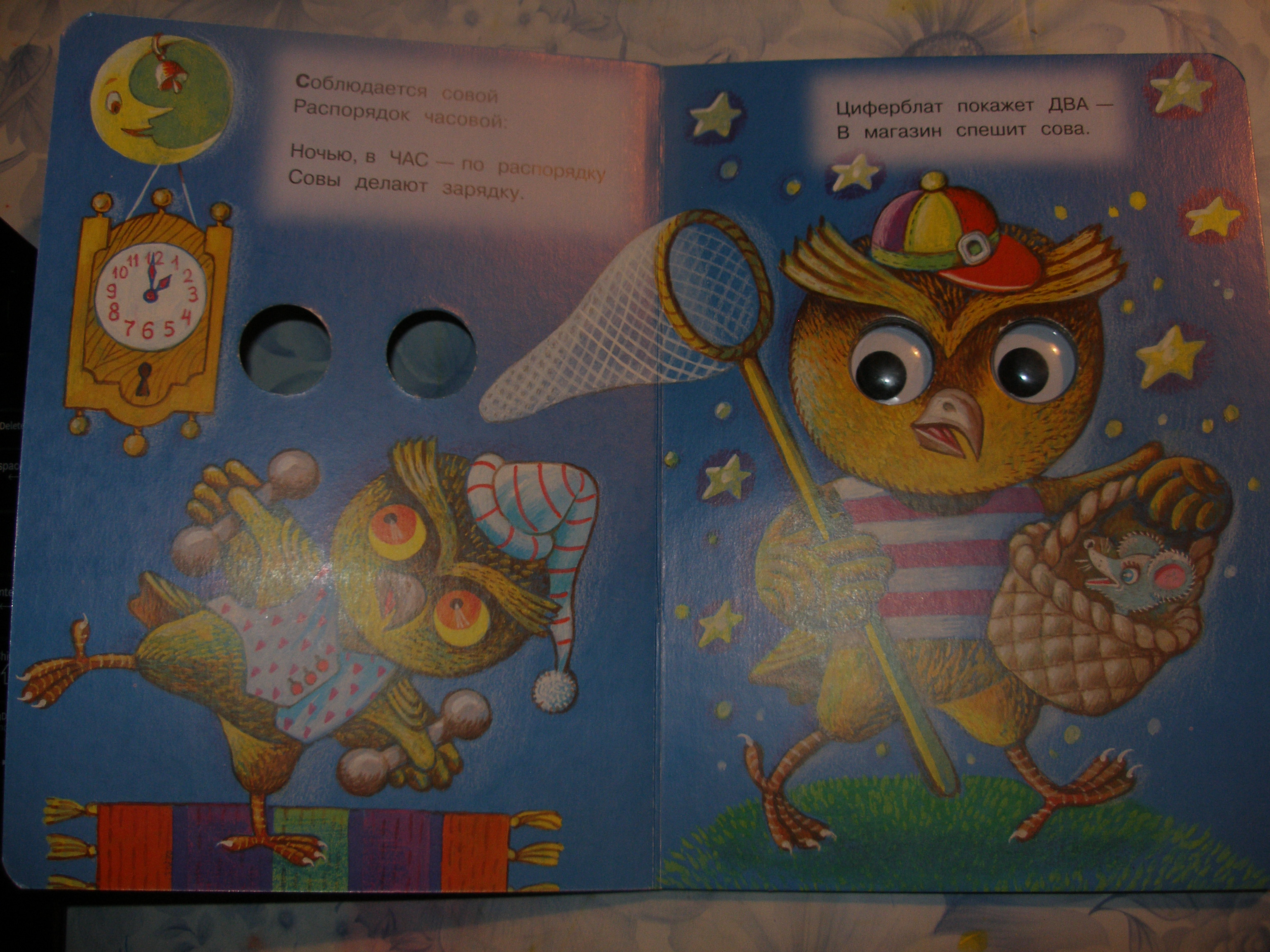 Где живет сова?