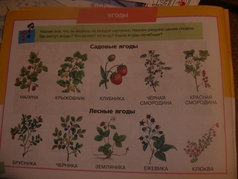 ТН