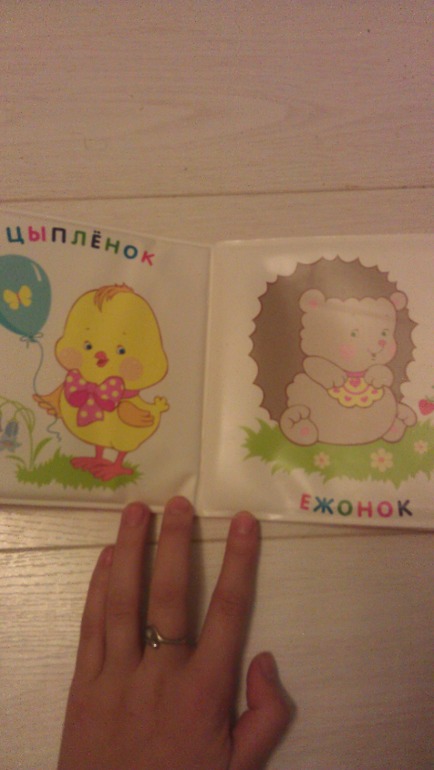 наша мини библиотека