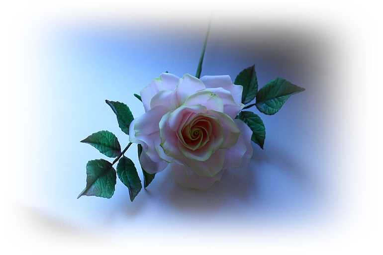 Роза с курсов Жанны Рябковой!