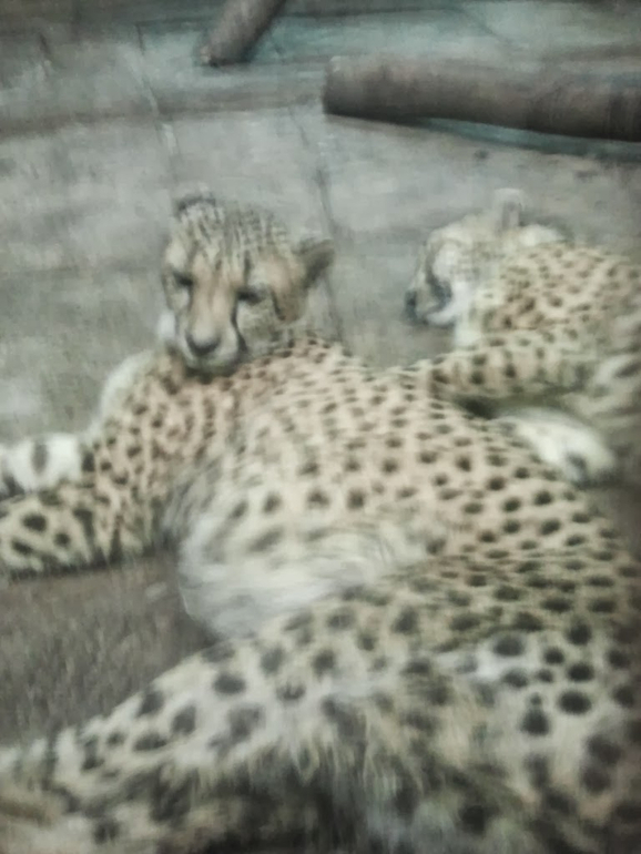 Экзотариум, океанариум