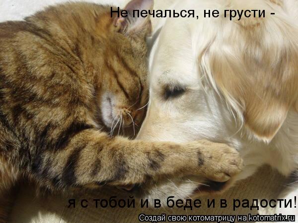 96cdd74f092a10610eb5dcf26a2e567e.jpg