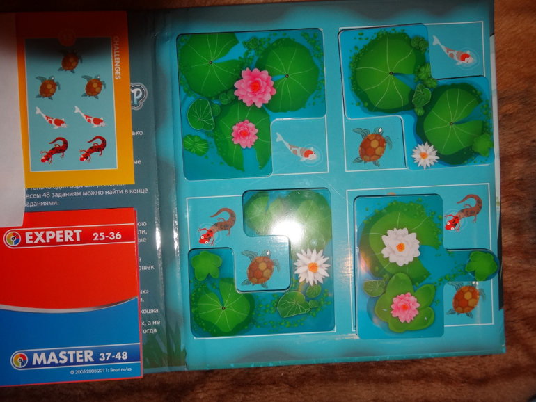 Отчет занятия