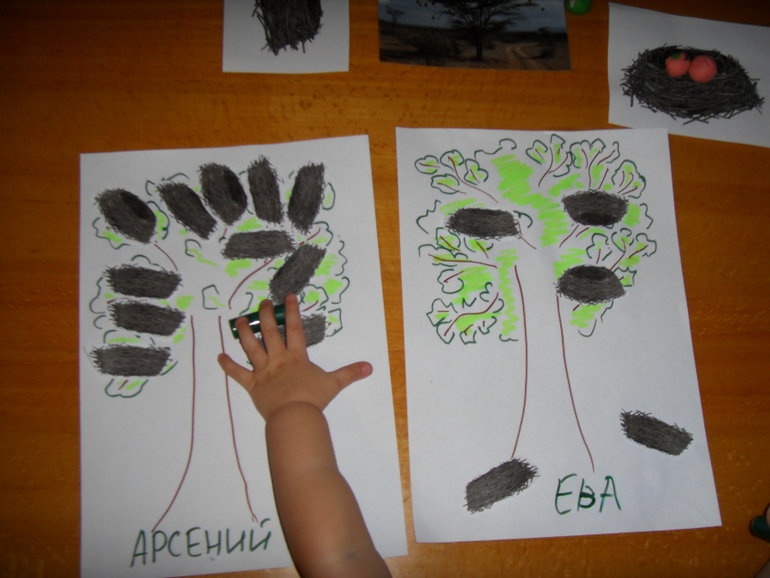 Наш отчет : ТН