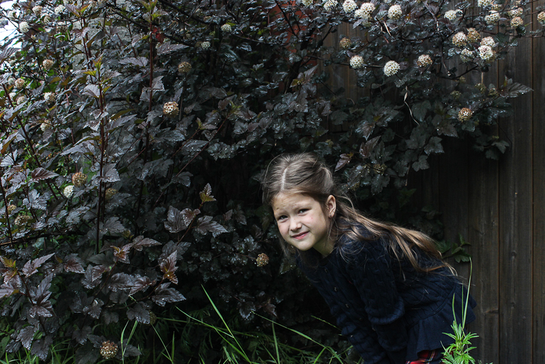 Такое разное лето((((