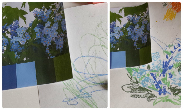 ТЗ Цветное безобразие (Шичида)