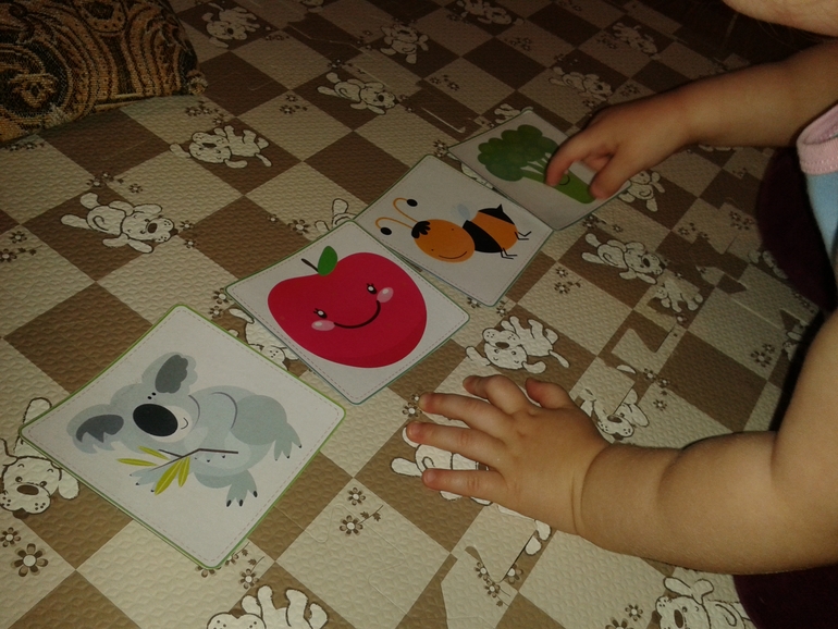 ТН ЦВЕТА День Обобщающий