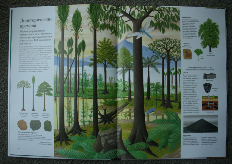 Большая книга о лесах и деревьях