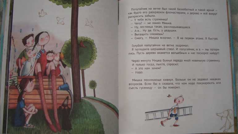 Из последних приобретений