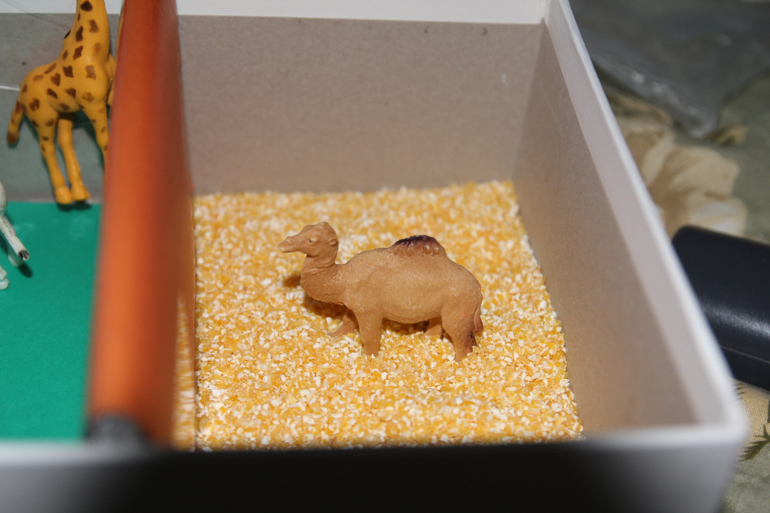 Ферма и Африка на скорую руку