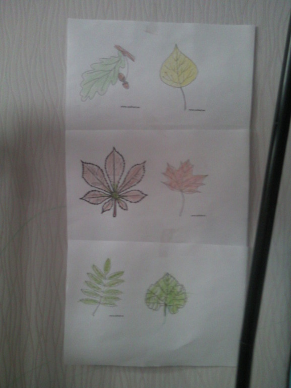 Тематическая неделька деревья. День 1.