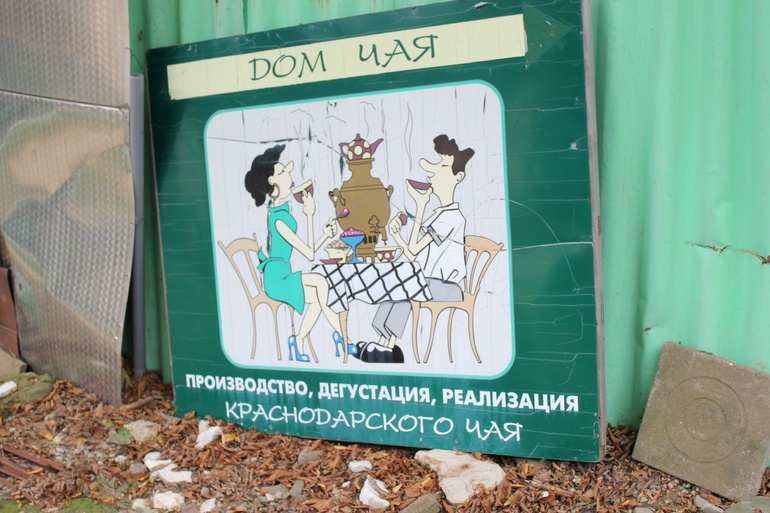 Приехали в осень