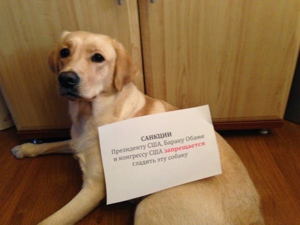 Мои САНКЦИИ!!!