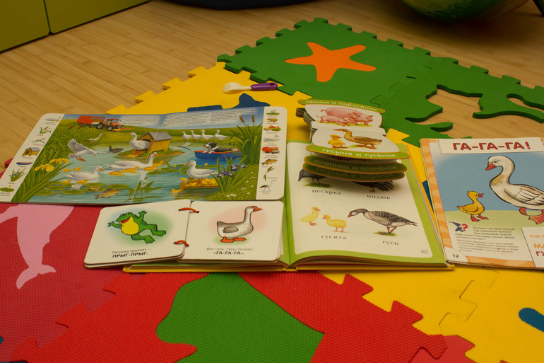 ТЗ "Утка, Гусь". Отчет