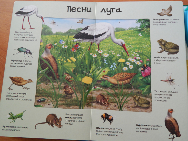 Книжный хваст №... (летнее пришло)