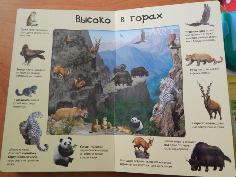 Книжный хваст №... (летнее пришло)