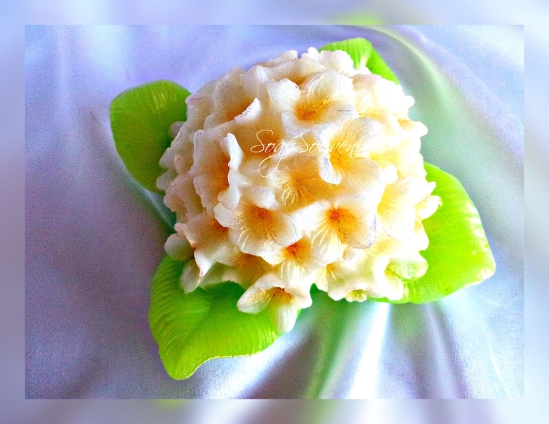 8 марта, отчетец)