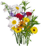 Добро пожаловать путник;)