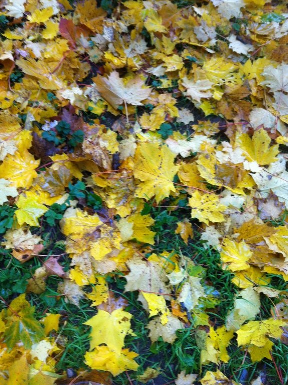 Осенний кайф