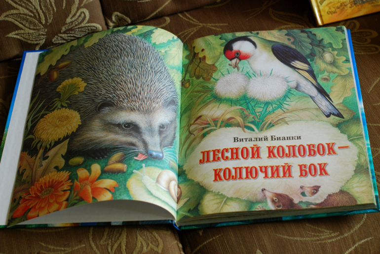 Небольшой улов