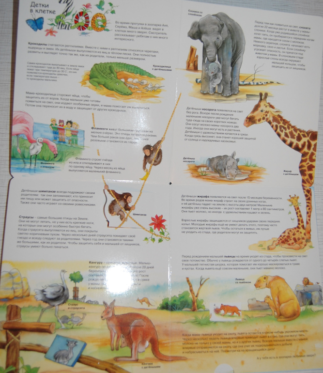 Энциклопедии для детей