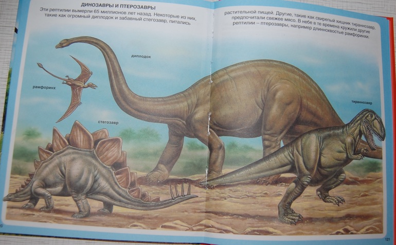 Энциклопедии для детей