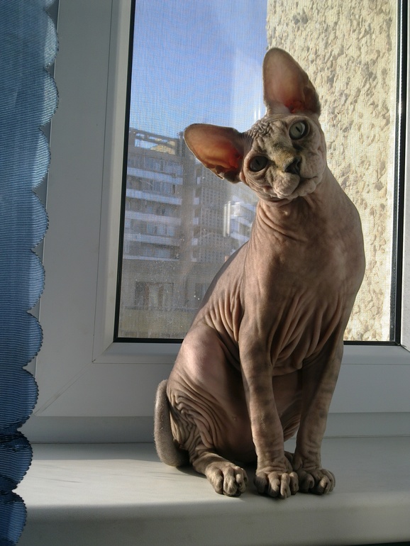 Мама и папа нашей девоньки)