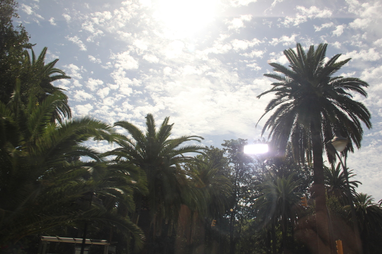 Андалусия. День второй - винноморской.