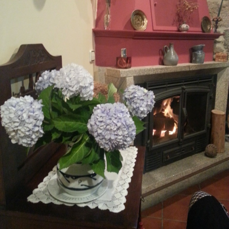 дождь - хороший повод подумать о жизни.