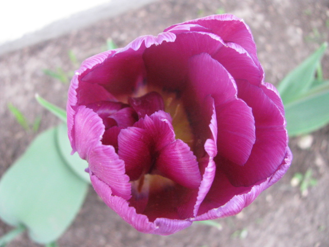 Как я рад, как я рад......