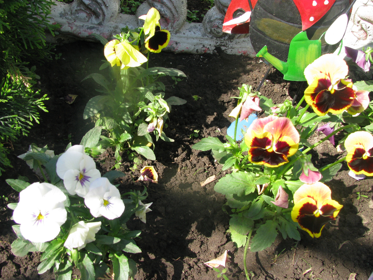 Как я рад, как я рад......