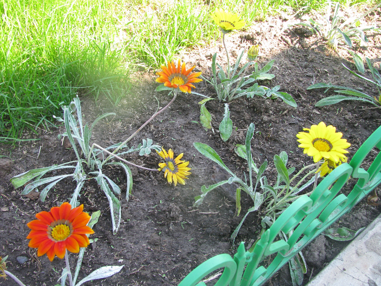 Как я рад, как я рад......