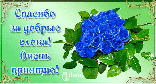 bbd93509e32bc65a7f4a4b104de2175e.gif