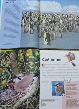 Июньское прочитанное!