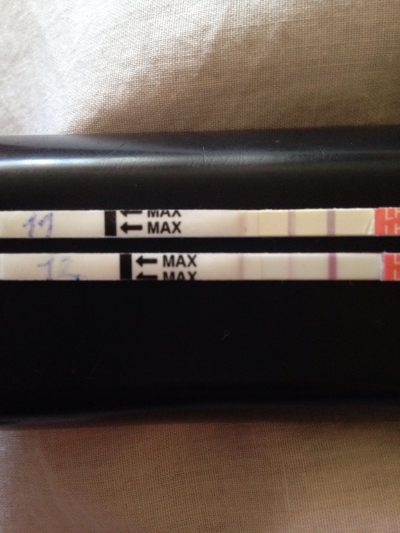 Впервые делаю тесты!