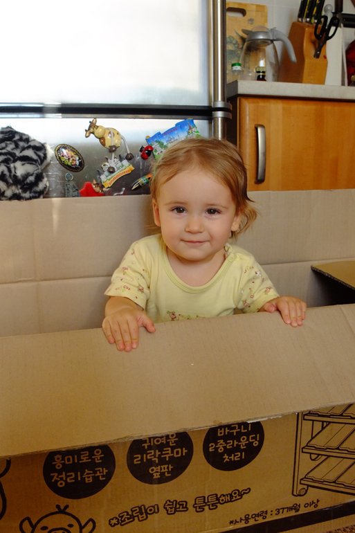 Игрушки и порядок в доме. Мечта или реальность?