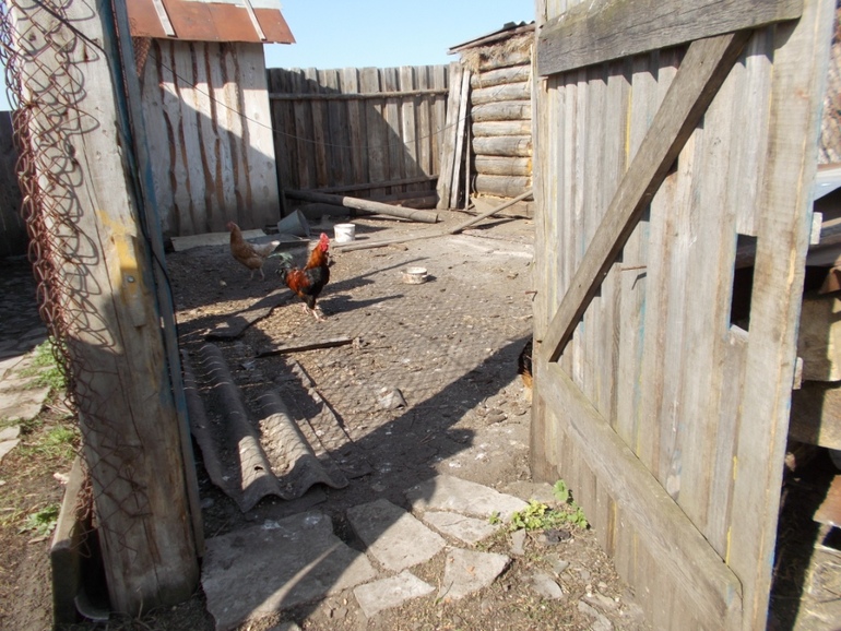 Про деревенскую жизнь)