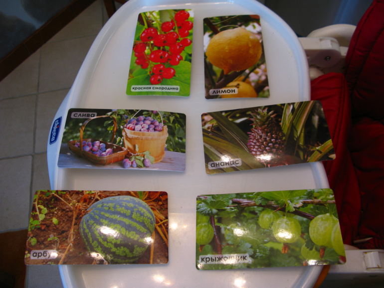 ТН Деревья, день 4