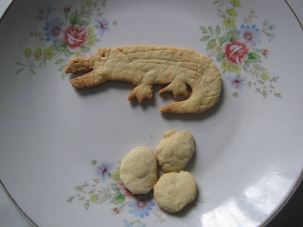 ТД Крокодил