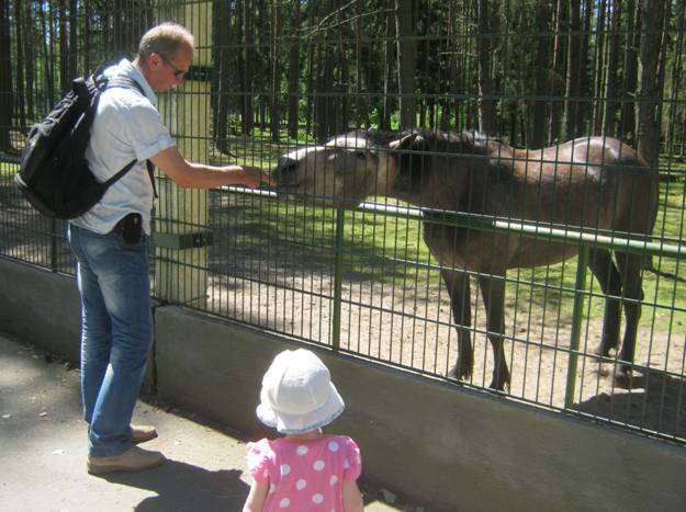 Беловежская пуща