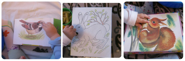 Коробочки мелкой моторики