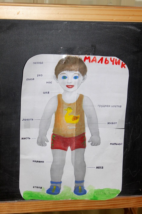 ТД "Части тела для малышей"