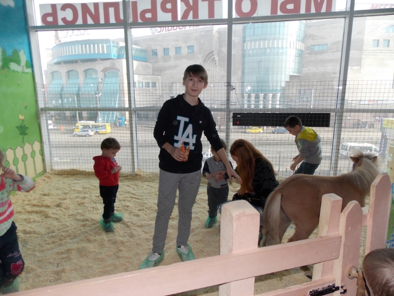 Трогательный зоопарк!