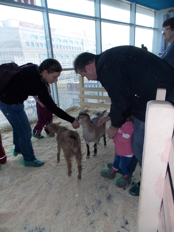 Трогательный зоопарк!