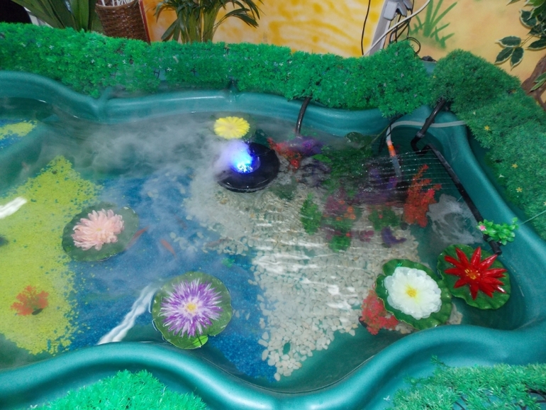 Трогательный зоопарк!