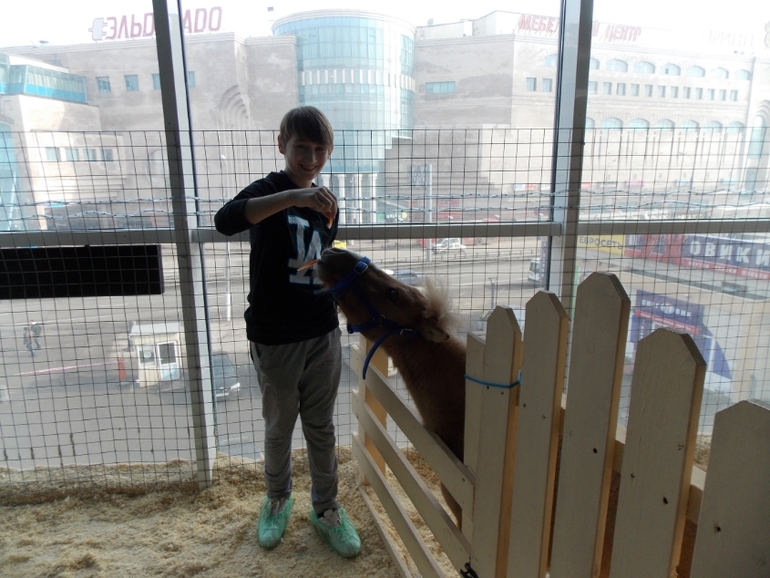 Трогательный зоопарк!