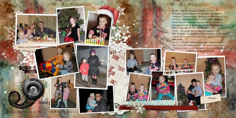 Начало моего проекта 365-2014. Январь.