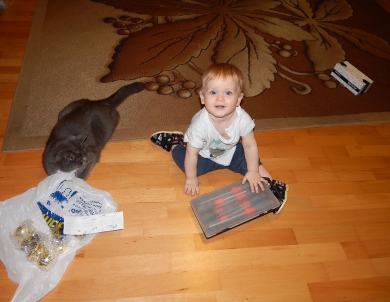 Тренировки