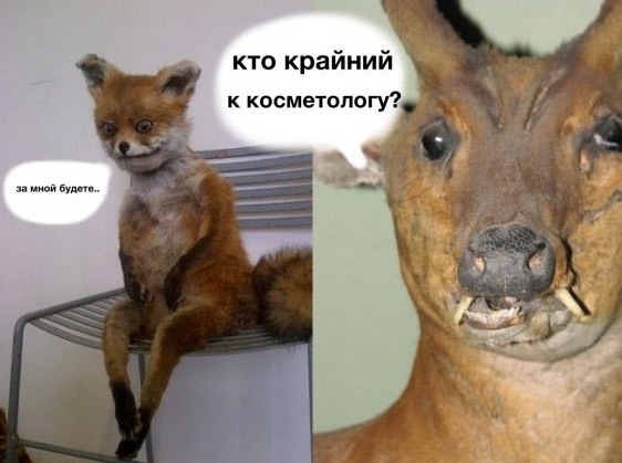 c76a7977e0ff4c105c473fb0ad1d1c96.jpg