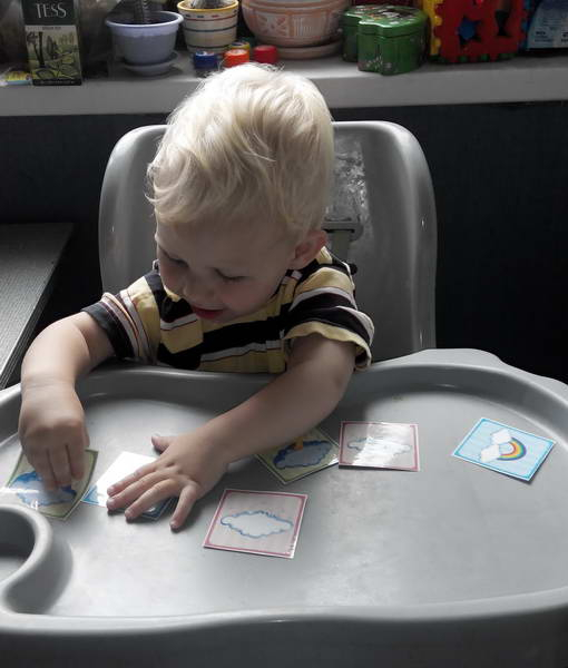 ТЗ 28 Дождик Шичида. 1г 10 мес